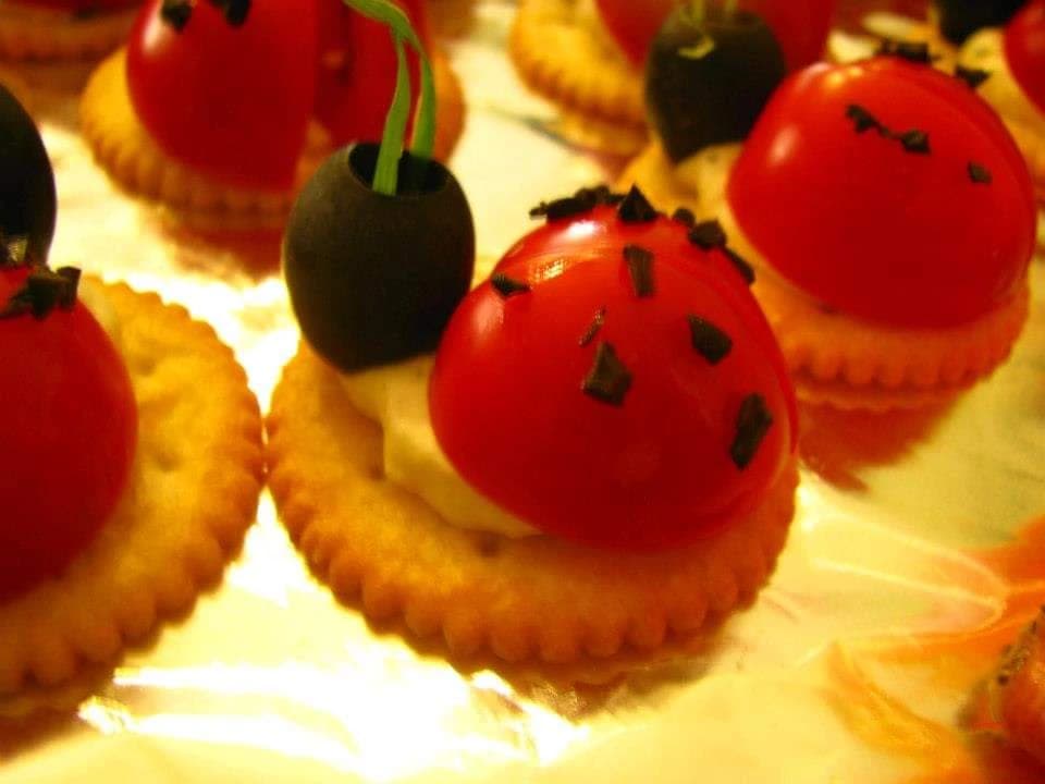 Canapé (Finger Food) 5